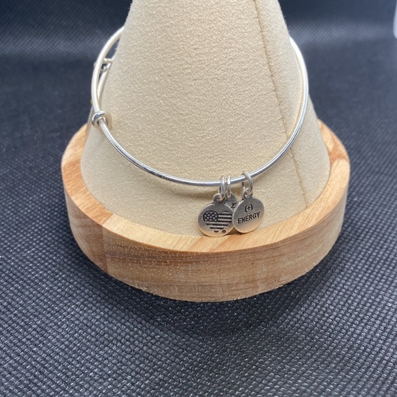 ☀️ALEX AND ANI☀️Energy Sun Oracle Charm Bangle Bracelet in Rafaelian Silver/EUC - Picture 6 of 7